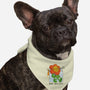 Follow Your Instincts-Dog-Bandana-Pet Collar-zawitees