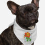 Follow Your Instincts-Dog-Bandana-Pet Collar-zawitees