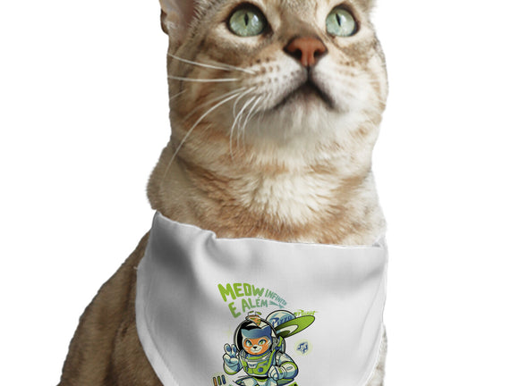 Cat Lightyear