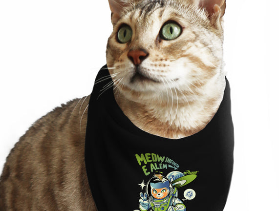 Cat Lightyear