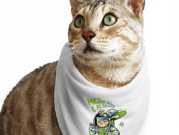 Cat Lightyear