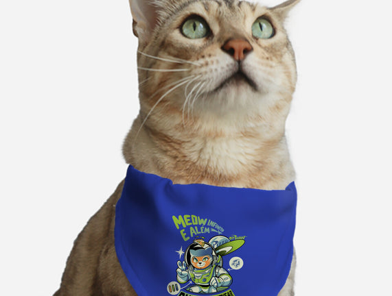 Cat Lightyear