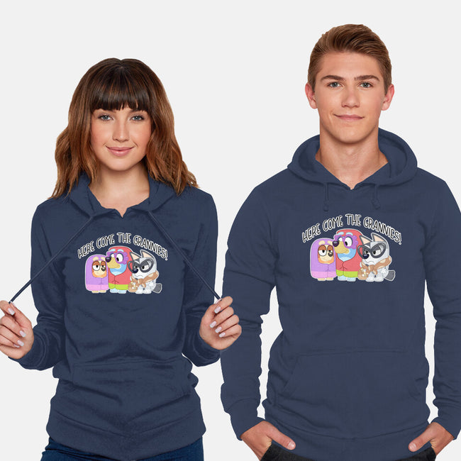 Here Come The Grannies-Unisex-Pullover-Sweatshirt-Alexhefe