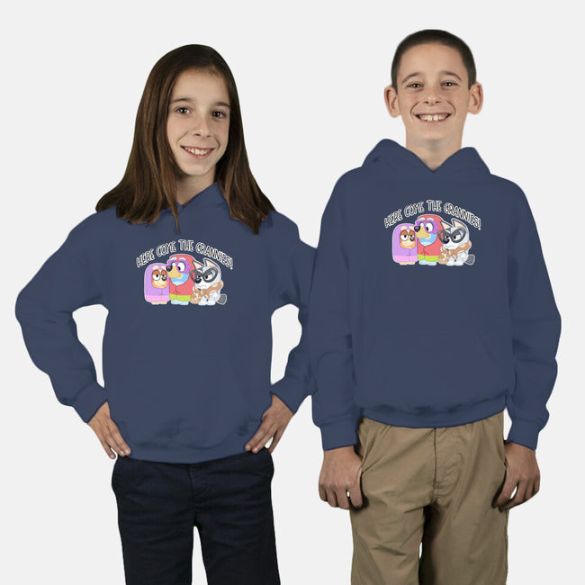 Here Come The Grannies-Youth-Pullover-Sweatshirt-Alexhefe