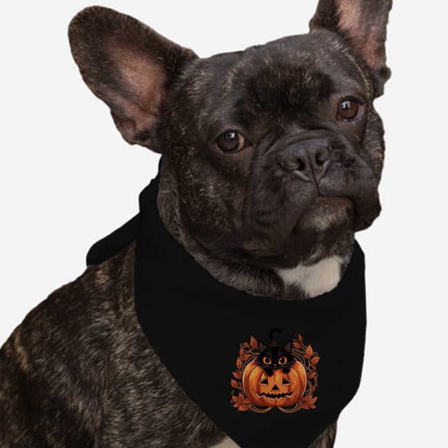Pumpkin Paws-Dog-Bandana-Pet Collar-fanfreak1