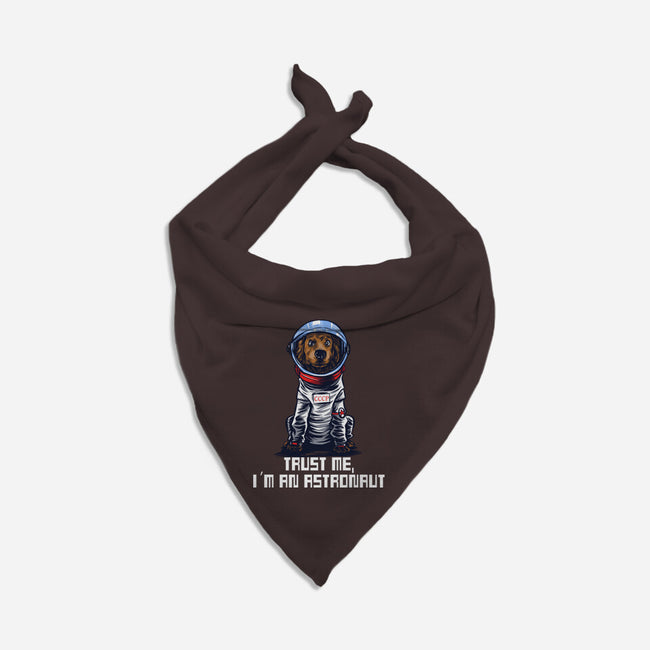 I Am An Astronaut-Cat-Bandana-Pet Collar-zascanauta