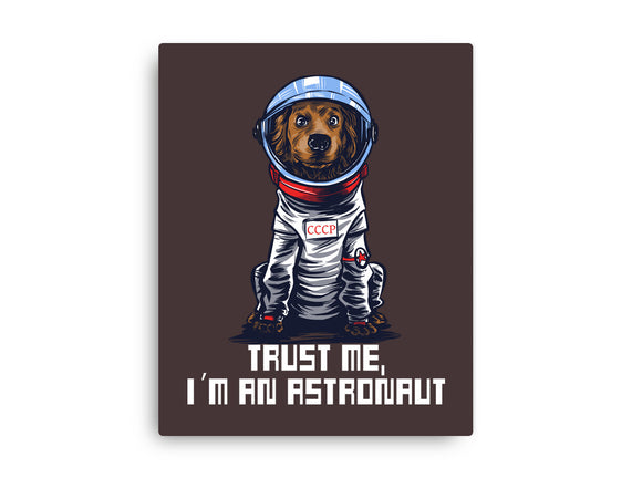 I Am An Astronaut