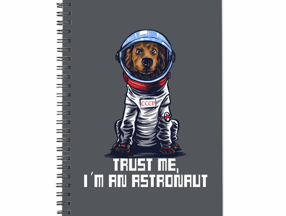 I Am An Astronaut