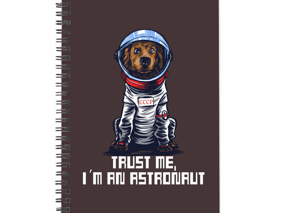 I Am An Astronaut