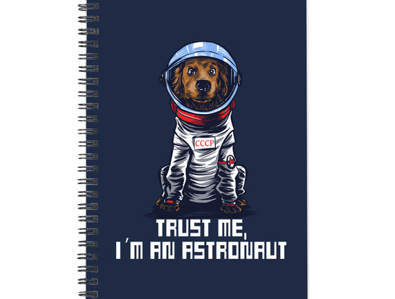 I Am An Astronaut