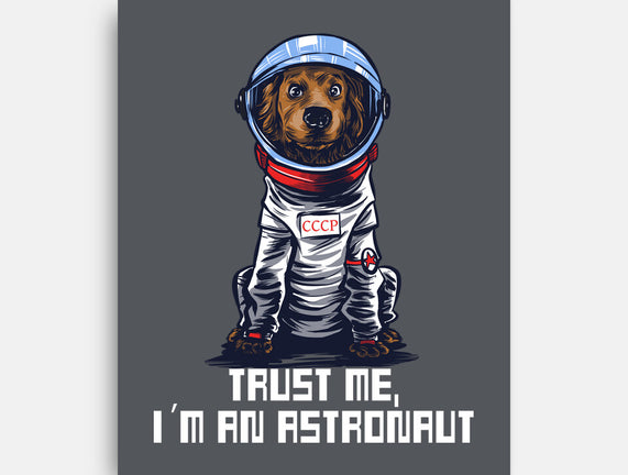 I Am An Astronaut