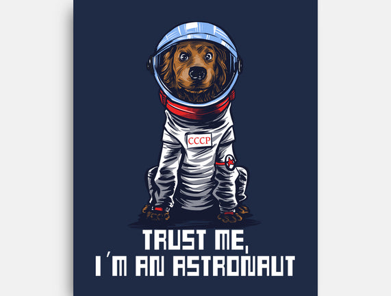 I Am An Astronaut