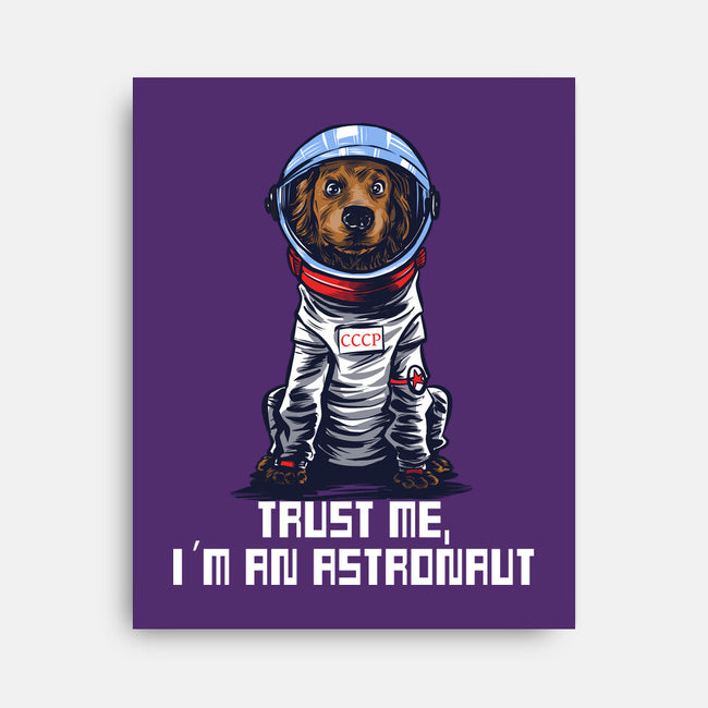 I Am An Astronaut-None-Stretched-Canvas-zascanauta