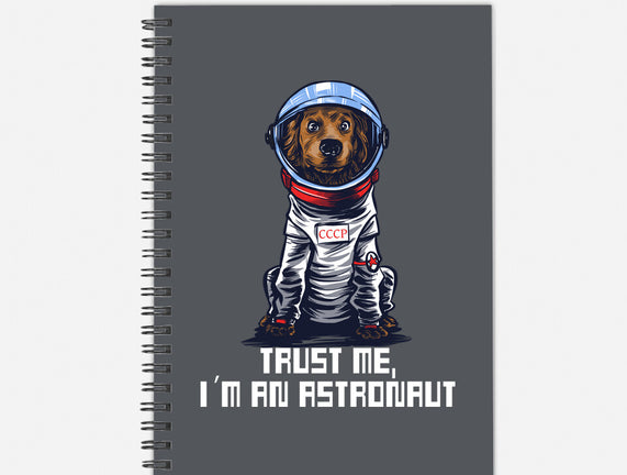 I Am An Astronaut