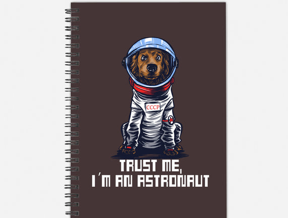 I Am An Astronaut