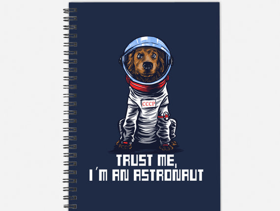 I Am An Astronaut