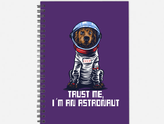 I Am An Astronaut