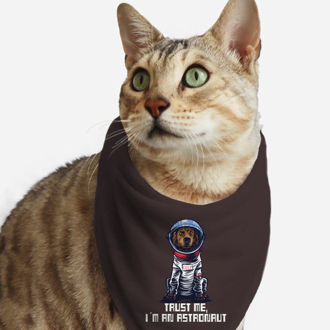 I Am An Astronaut-Cat-Bandana-Pet Collar-zascanauta