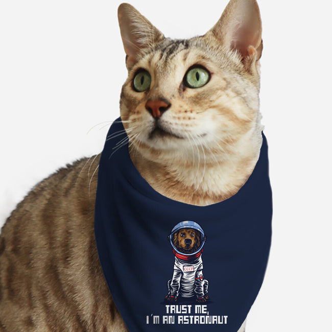 I Am An Astronaut-Cat-Bandana-Pet Collar-zascanauta