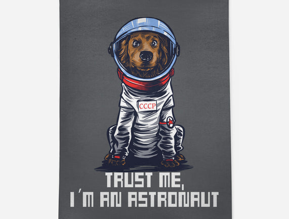 I Am An Astronaut