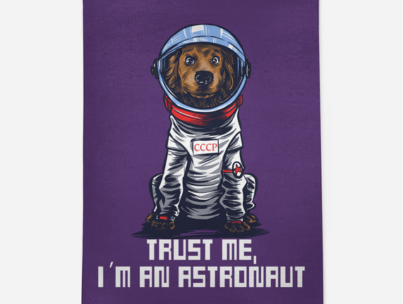 I Am An Astronaut