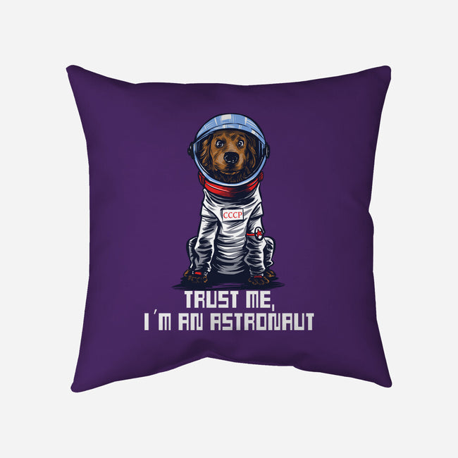 I Am An Astronaut-None-Non-Removable Cover w Insert-Throw Pillow-zascanauta