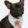 Hello Patrick-Dog-Bandana-Pet Collar-spoilerinc