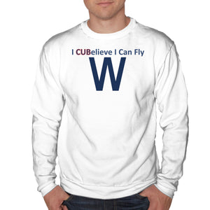 I CUBelieve I Can Fly