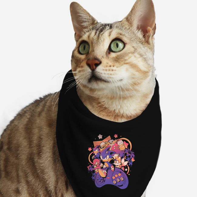 Gotta Play Fast-Cat-Bandana-Pet Collar-eduely