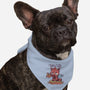 I Have No Idea-Dog-Bandana-Pet Collar-TechraNova