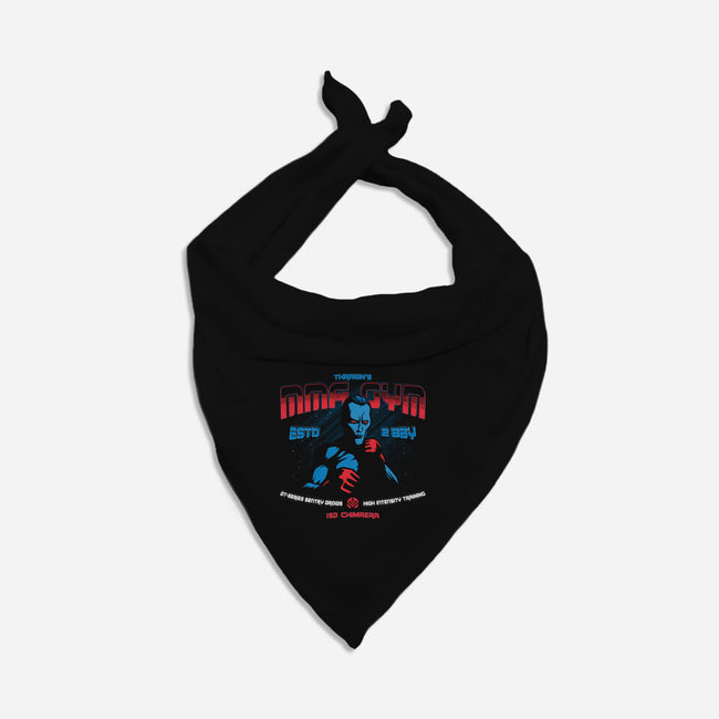 Thrawn's MMA GYM-Cat-Bandana-Pet Collar-teesgeex