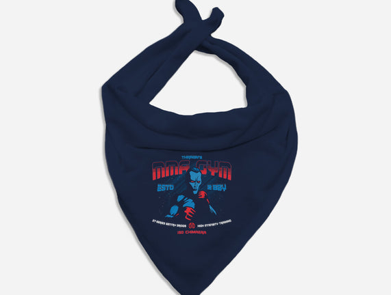 Thrawn's MMA GYM