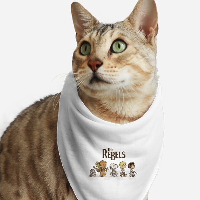 Rebel Road-Cat-Bandana-Pet Collar-kg07