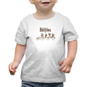 King Of The Britons