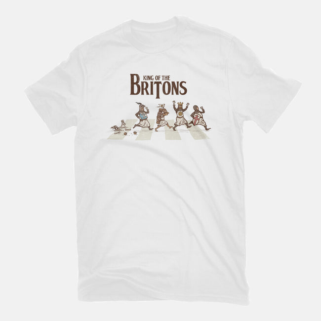 King Of The Britons-Womens-Fitted-Tee-kg07