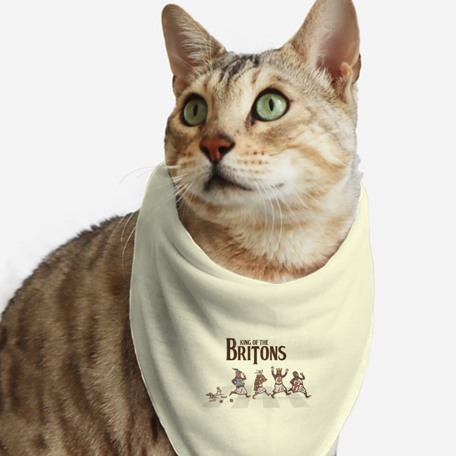 King Of The Britons-Cat-Bandana-Pet Collar-kg07