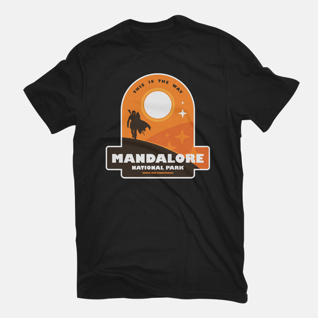 Mandalore National Park-Mens-Premium-Tee-BadBox