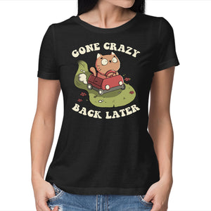 Cute Kitten Gone Crazy