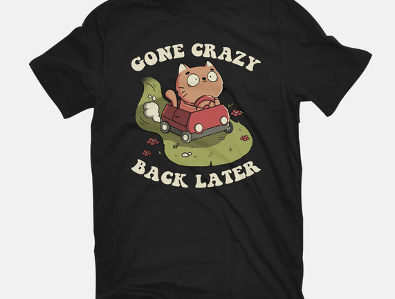 Cute Kitten Gone Crazy