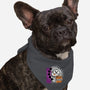 Jack 1993-Dog-Bandana-Pet Collar-dalethesk8er