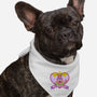 Hi Patrick-Dog-Bandana-Pet Collar-Alexhefe