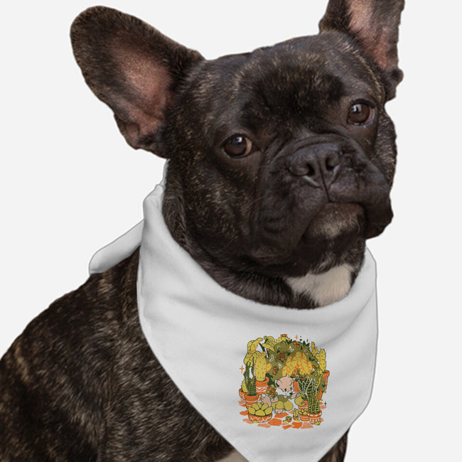 Plants And Chill-Dog-Bandana-Pet Collar-Estudio Horta