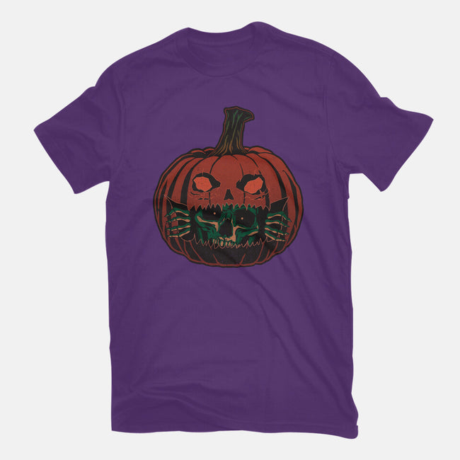 Pumpkin Surprise-Womens-Fitted-Tee-fanfreak1