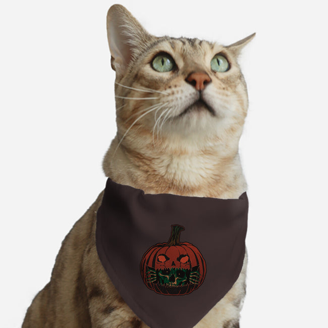 Pumpkin Surprise-Cat-Adjustable-Pet Collar-fanfreak1