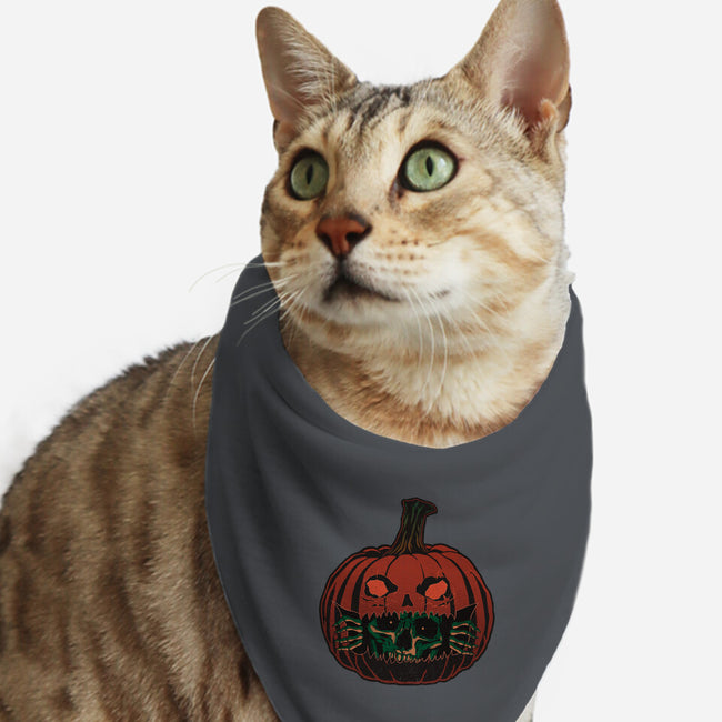 Pumpkin Surprise-Cat-Bandana-Pet Collar-fanfreak1