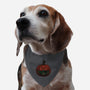 Pumpkin Surprise-Dog-Adjustable-Pet Collar-fanfreak1