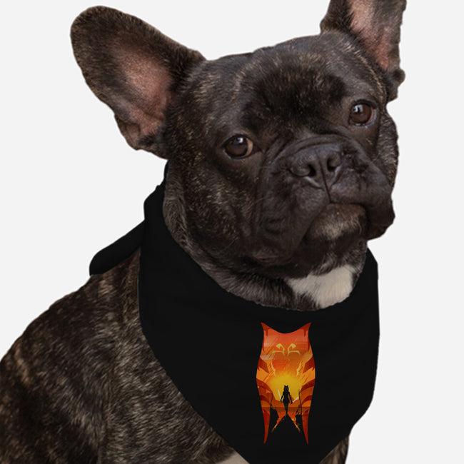 Fulcrum-Dog-Bandana-Pet Collar-Wookie Mike