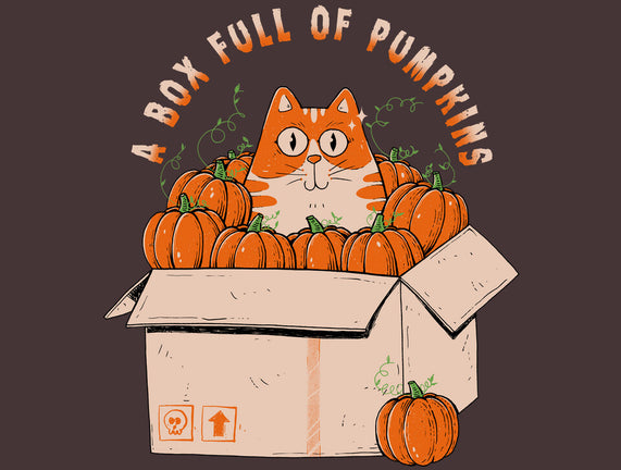 A Box Full Of Pumpkins