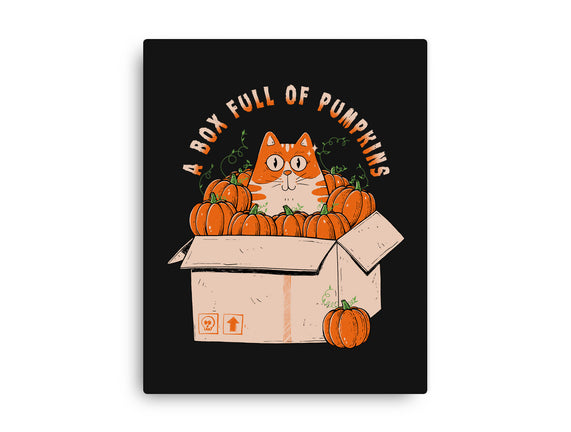 A Box Full Of Pumpkins