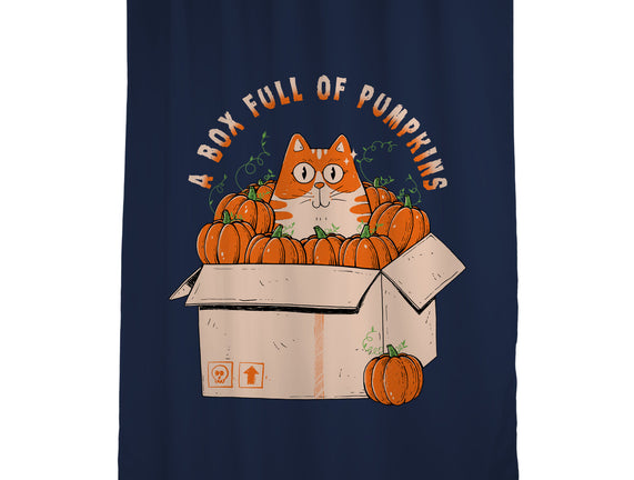 A Box Full Of Pumpkins